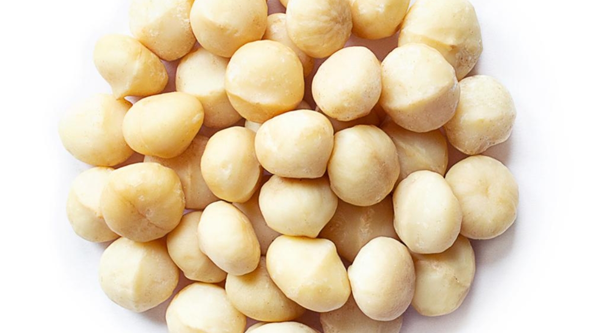 macadamia