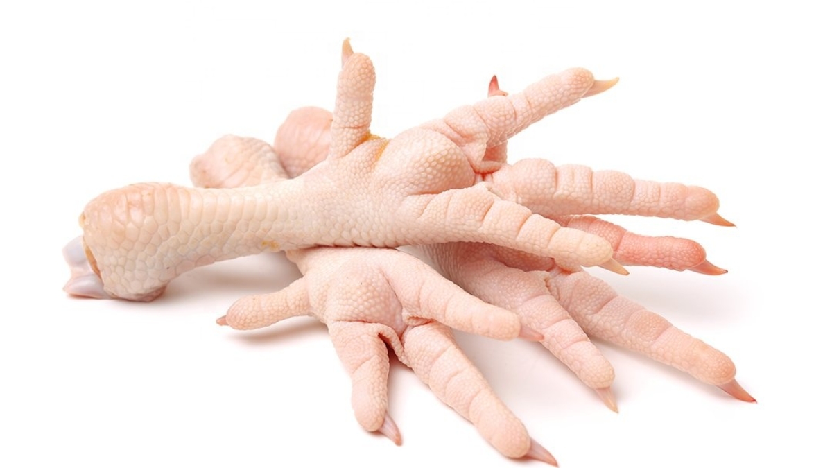 chicken_feet-paws